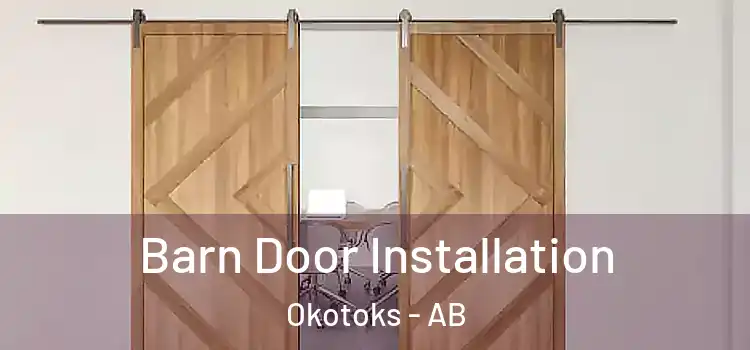  Barn Door Installation Okotoks - AB