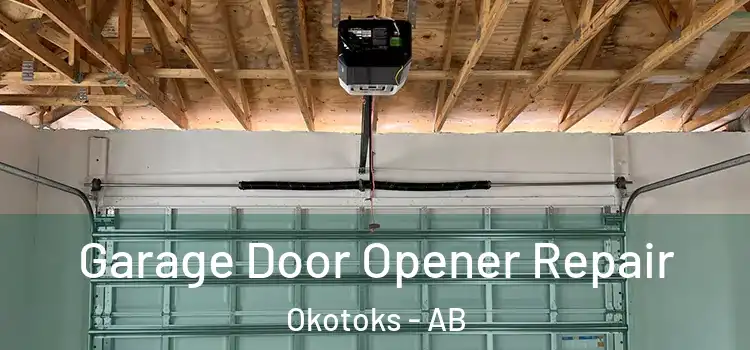  Garage Door Opener Repair Okotoks - AB
