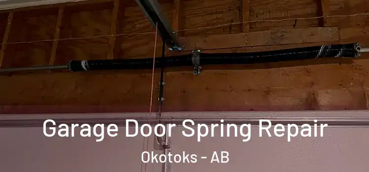 Garage Door Spring Repair Okotoks - AB