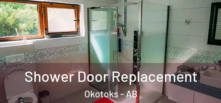  Shower Door Replacement Okotoks - AB